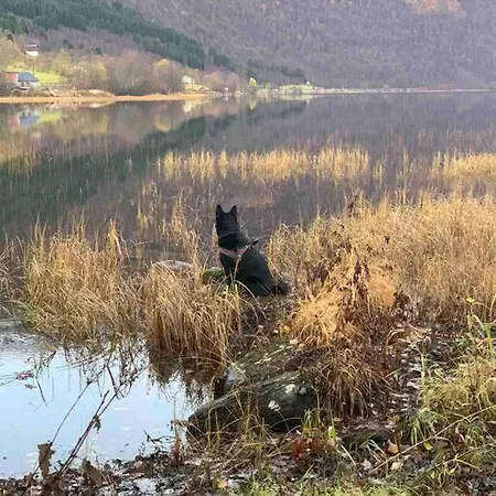 Minihus Med Drommeutsikt Til Sunnmorsalpene Apartment Aure (Sykkylven)